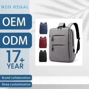 Custom OEM New Design Men’s Laptop Backpack Business Outdoor School Bags Travel Student Backpack With Usb Daily Life